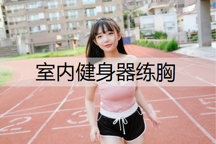 室内健身器练胸