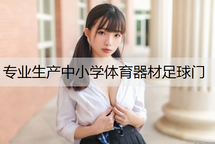 专业生产中小学体育器材足球门