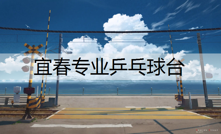 宜春专业乒乓球台