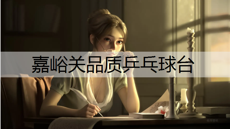 嘉峪关品质乒乓球台