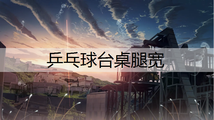 乒乓球台桌腿宽