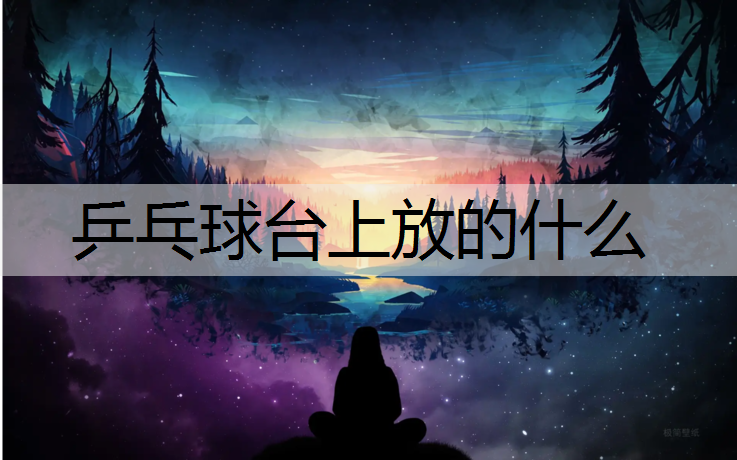 乒乓球台上放的什么