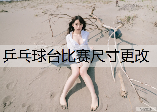 乒乓球台比赛尺寸更改