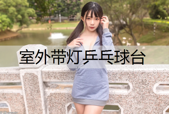 室外带灯乒乓球台