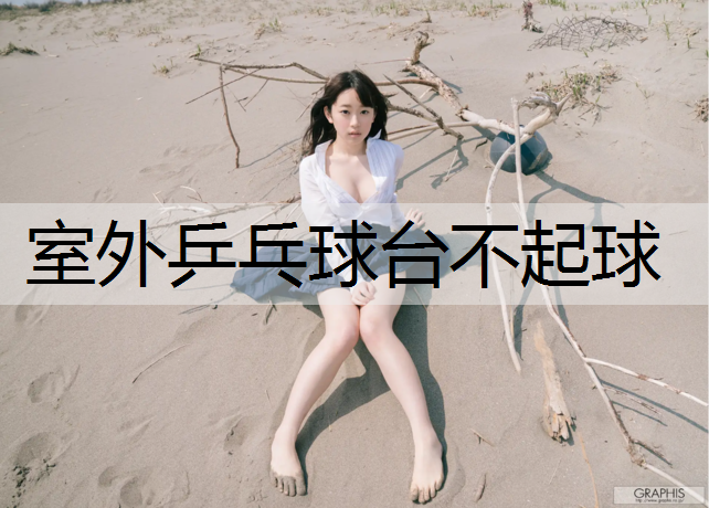室外乒乓球台不起球