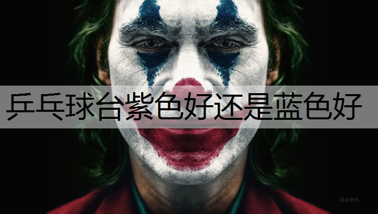 乒乓球台紫色好还是蓝色好