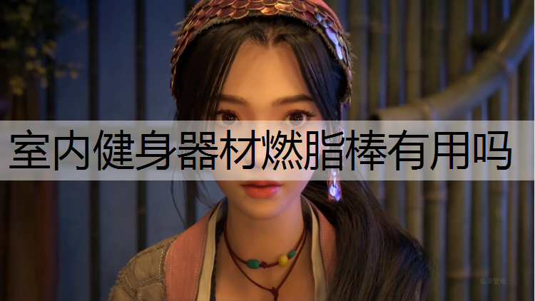 室内健身器材燃脂棒有用吗