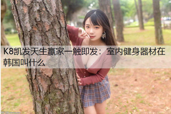 K8凯发天生赢家一触即发：室内健身器材在韩国叫什么