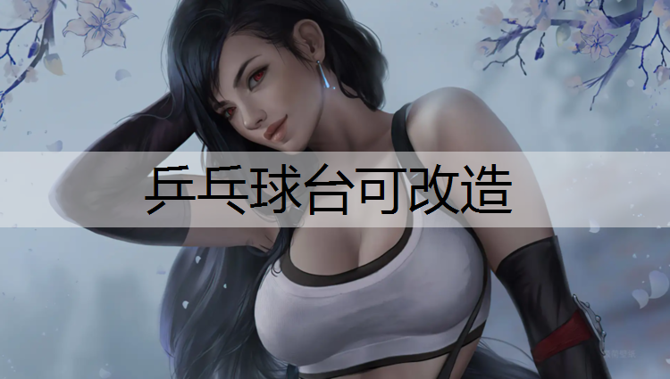 乒乓球台可改造
