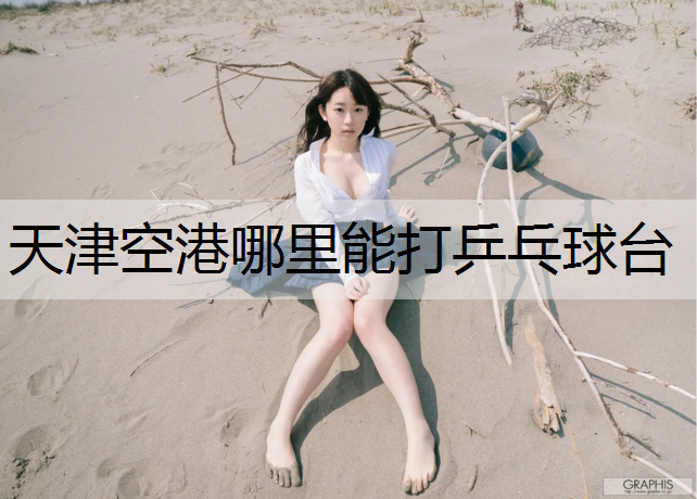 天津空港哪里能打乒乓球台