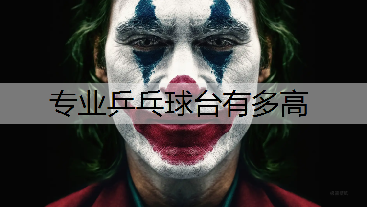 专业乒乓球台有多高