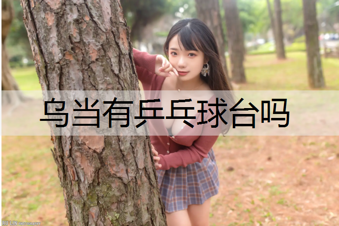 乌当有乒乓球台吗