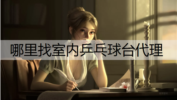 哪里找室内乒乓球台代理