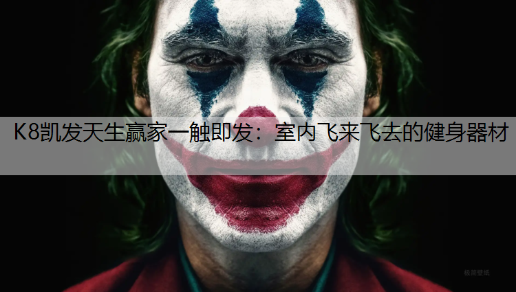 室内飞来飞去的健身器材