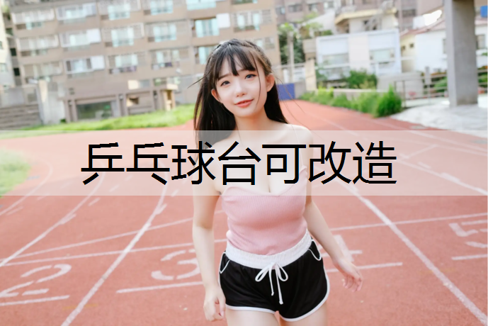 乒乓球台可改造