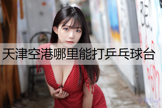 天津空港哪里能打乒乓球台