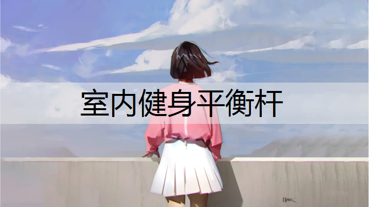 室内健身平衡杆